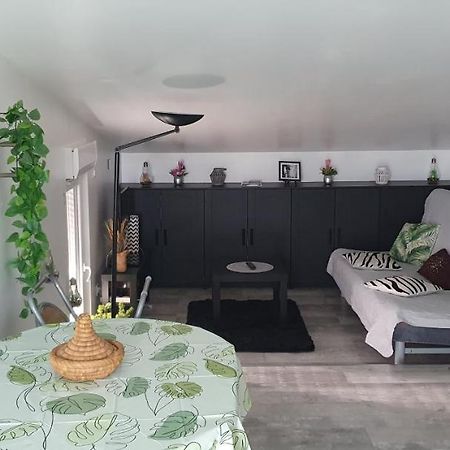 Appartement Cocooning Auterive Auterive  Exterior foto